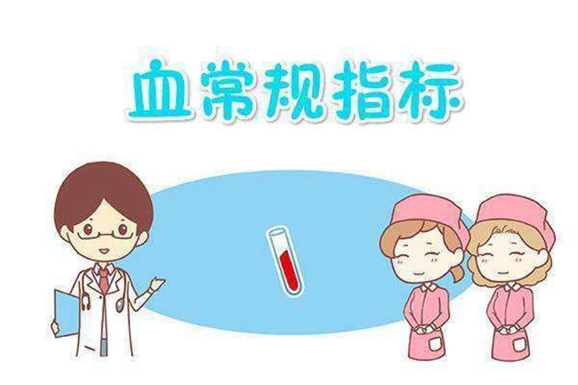888集团电子游戏科技